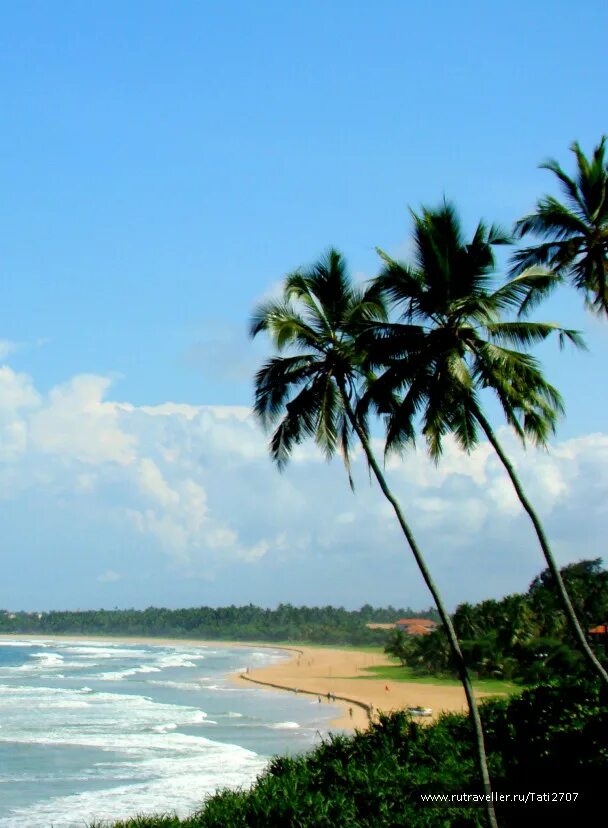 Бентота Шри Ланка. Васкадува Шри Ланка. Пляж Бентота Шри Ланка. Калутара Шри Ланка пляжи.