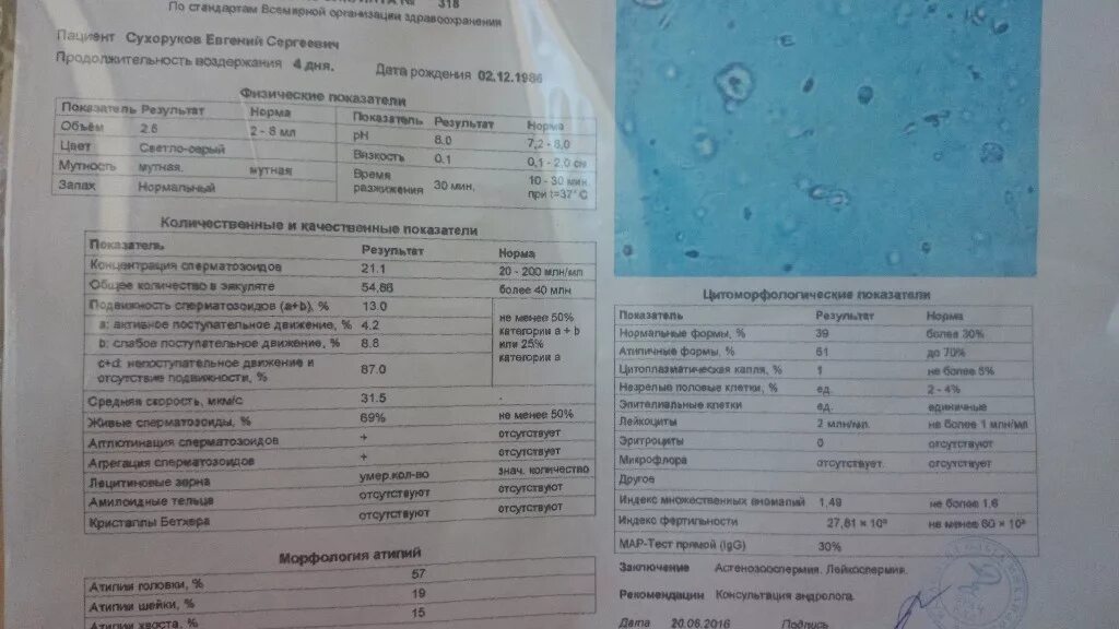 Смарт тест спермограмма. Смарт тест спермограмма