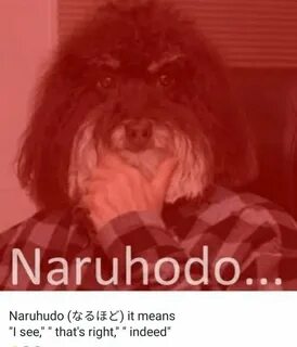 Naruhodo
