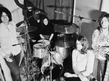 Deep purple flight of the rat