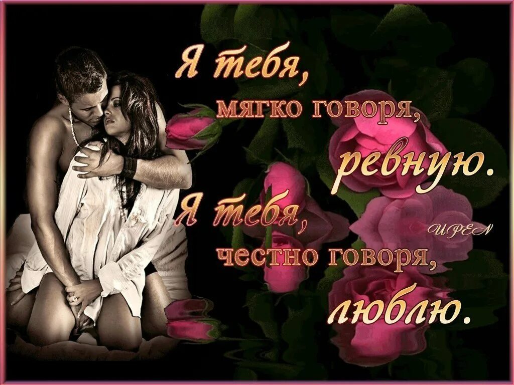 Я честно тебя люблю. Очень мягко говоря. Очень мягко говоря. Вежливо сказать нет. Вежливый слон на лесную дорожку.