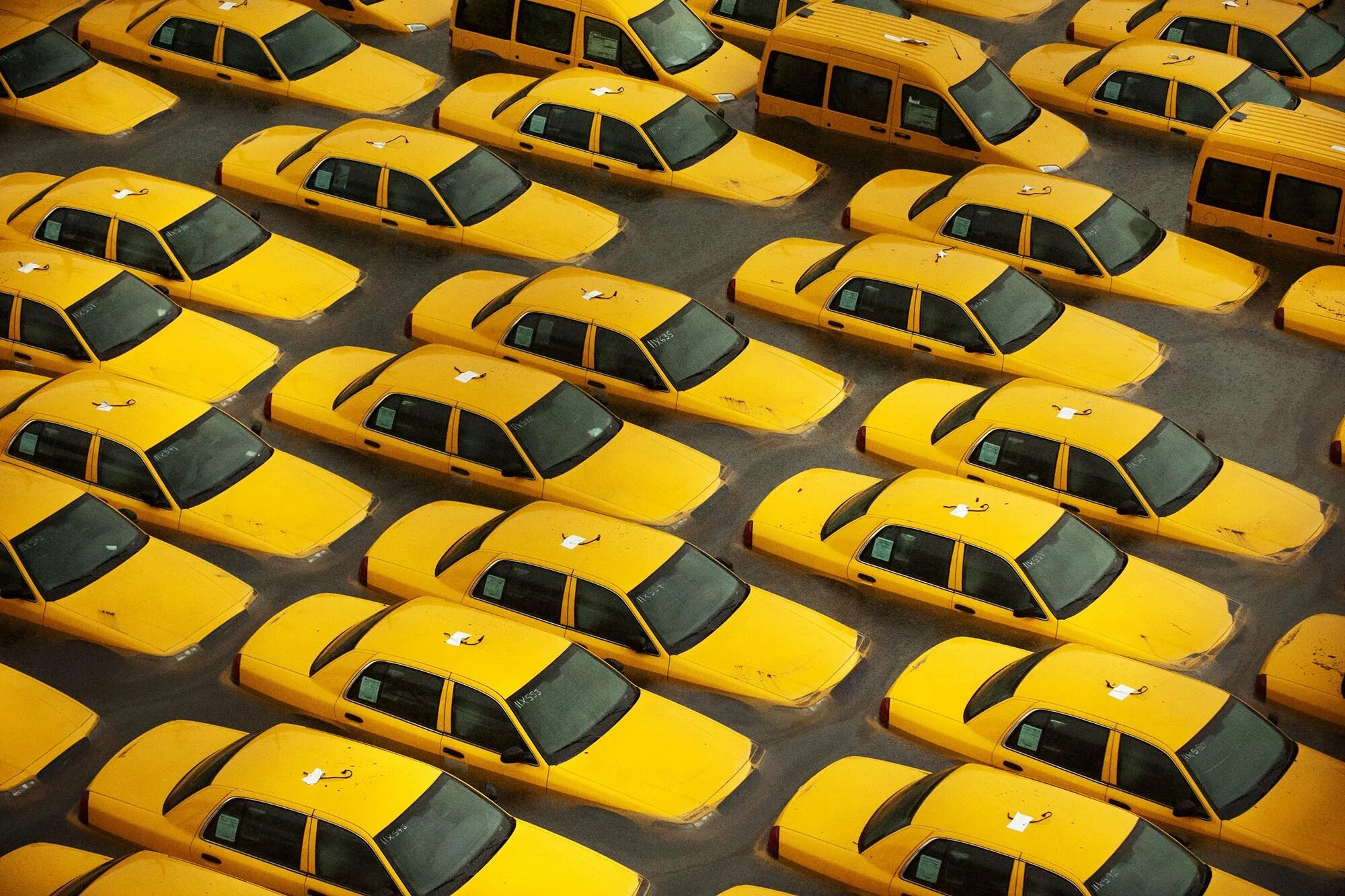 Много желтых машин. Машина желтая. Много машин такси. Куча таксистов.