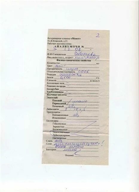 Посев молока на стерильность. Исследование грудного молока. Посев грудного молока. Посев молока на микрофлору. Посев грудного.