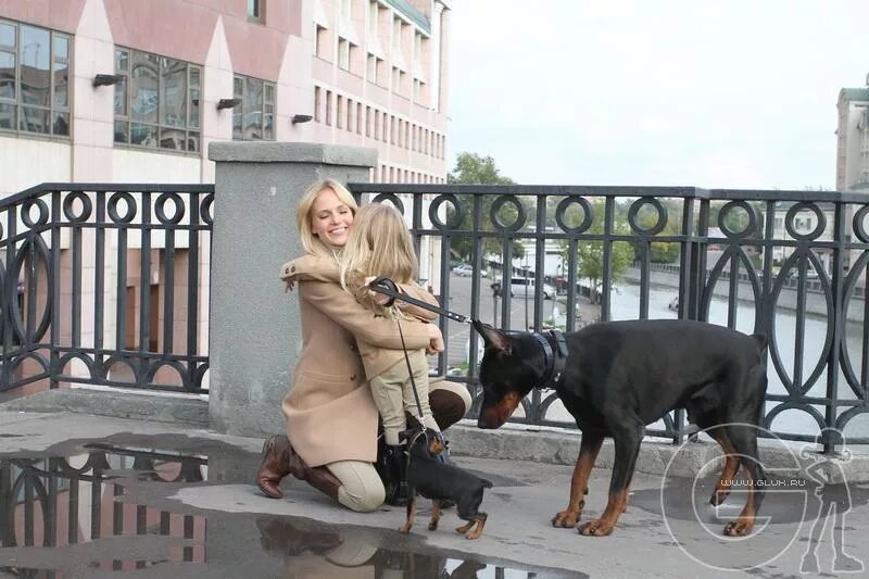 Песика клип. Собаки в музыкальных клипах. Собака в клипе i am glad. Песика клип. Песика клип.