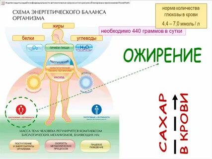 Сахар и ожирение