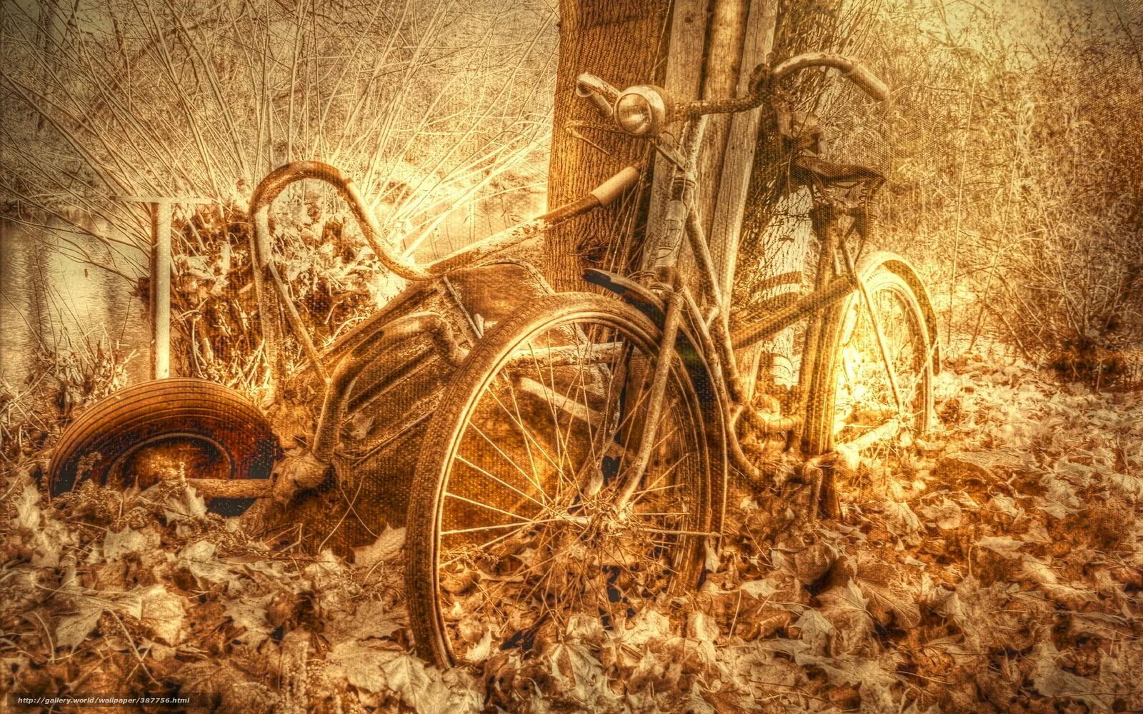 Ретро фон для фотошопа. Ретро фон. красивый ретро фон. ретро стиль на природе.