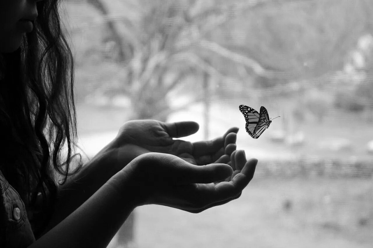 Девушка умеет любить. Девушка-бабочка. Девушка с бабочкой на ладони. Счастье бабочки. Девочка с бабочкой.