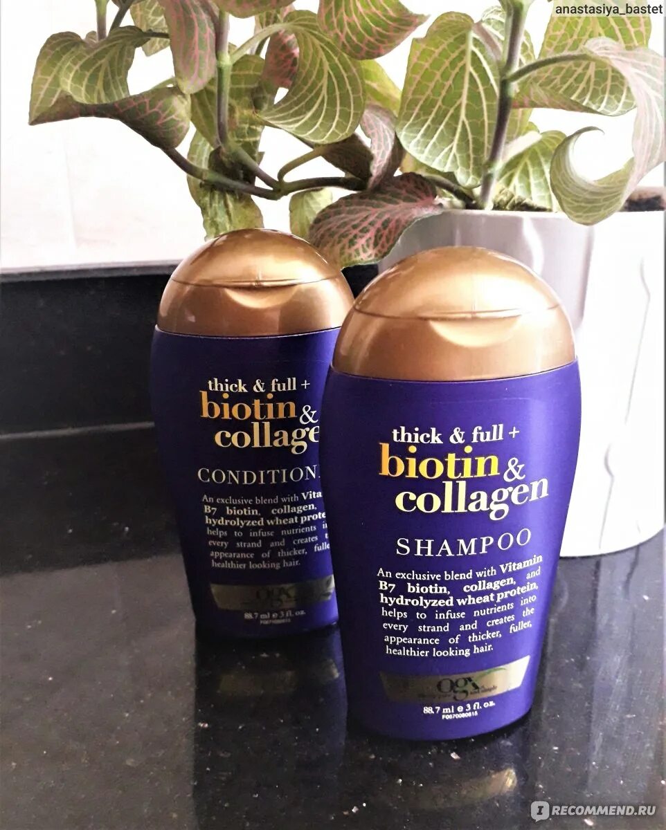Шампунь с коллагеном из крыма. Collagen keratin maddynia шампунь. Коллагеновый шампунь нл. Коллагеновые шампуни отзывы. Коллагеновые шампуни отзывы.