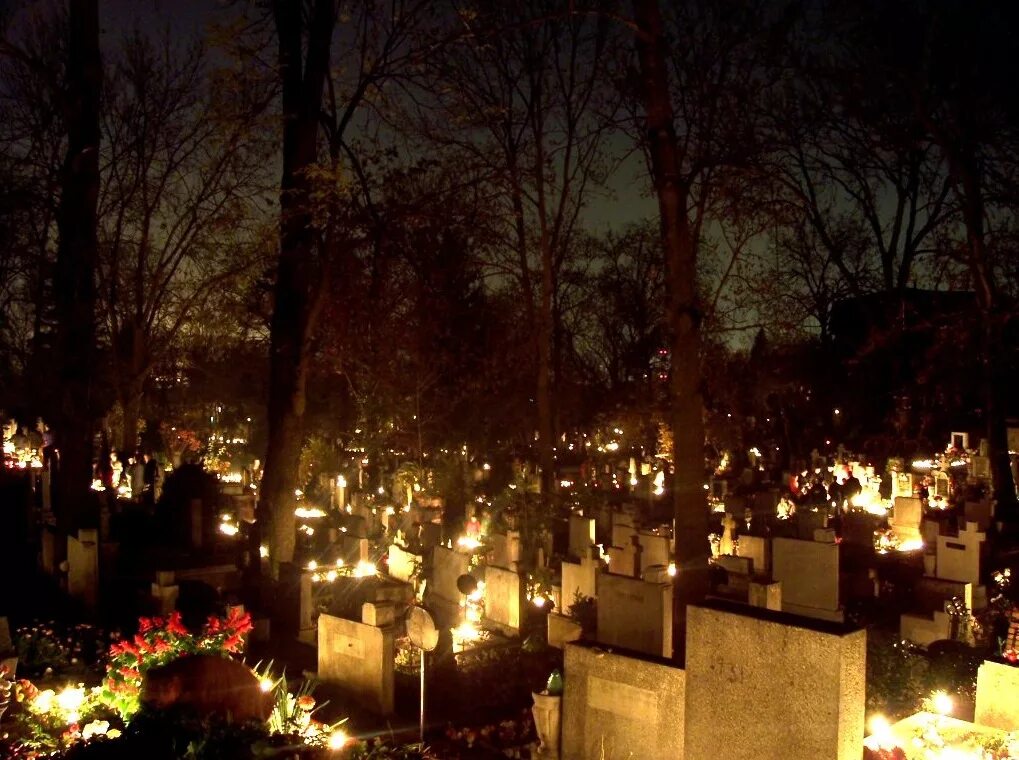 Могила ночью. Фосфор на кладбище. Фосфорные огни на кладбище. Огоньки на кладбище ночью.
