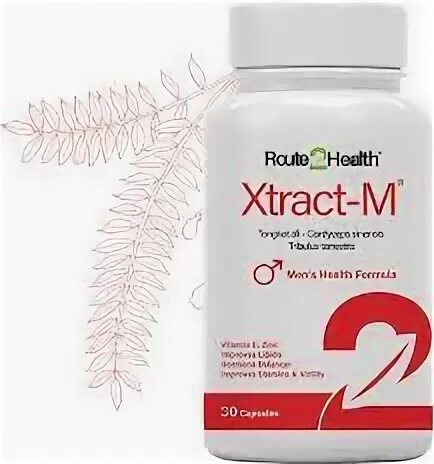 Xtract