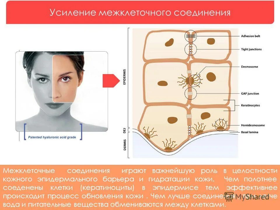 келоидный рубец хирургия. восстанавливает целостность кожи. восстанавливает целостность кожи. пластырь для заживления послеоперационных ран. восстанавливает целостность кожи.