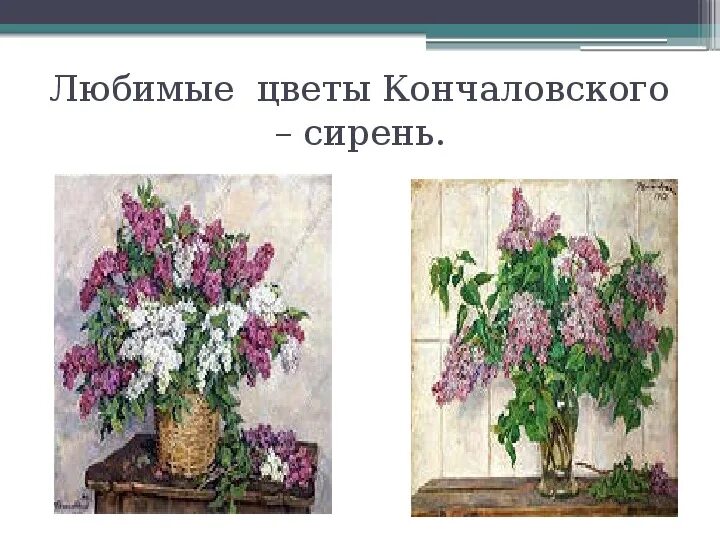 П П Кончаловский сирень в окне. Картина п п Кончаловского сирень в корзине. Описание сирени сирень в корзине кончаловский