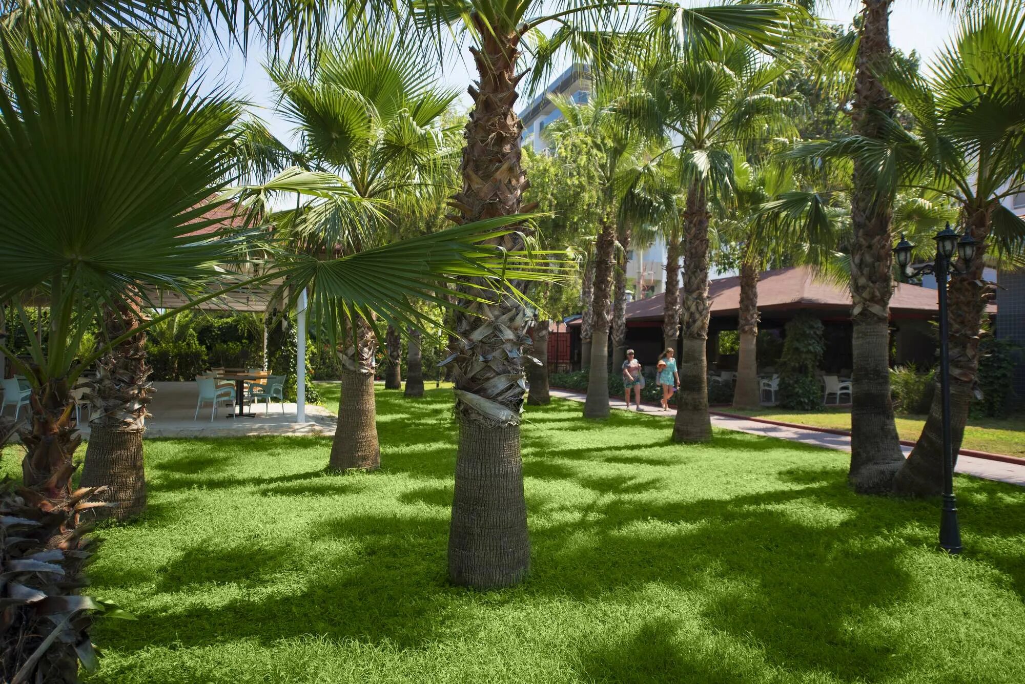 Отель the garden beach hotel 5 аланья. Гарден бич конаклы 5. Garden beach hotel 5 аланья. The garden beach hotel аланья. The garden beach hotel 5 аланья.