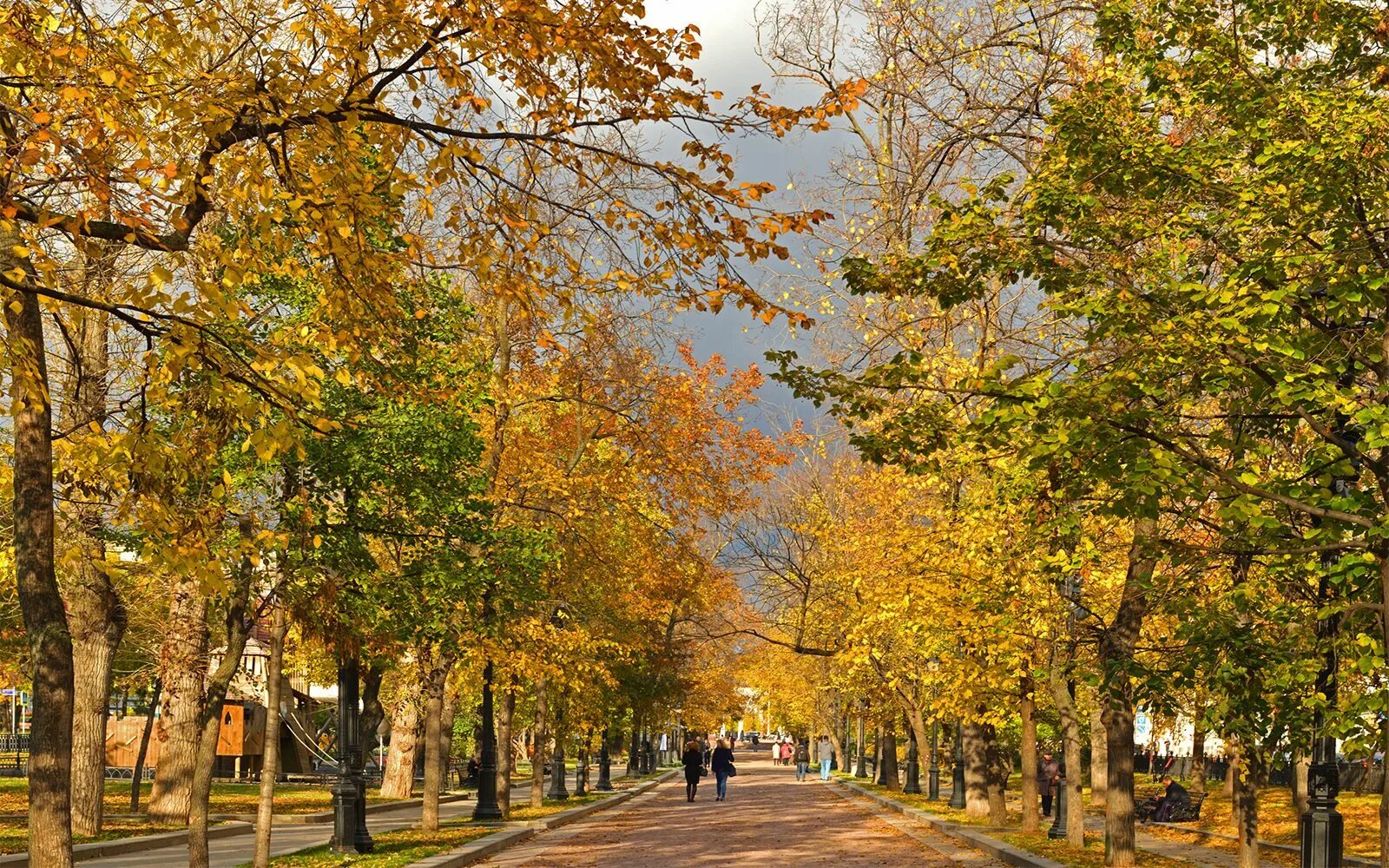 Бульвар в осенних листьях. Московские бульвары. осенний бульвар москва. москва бульварное кольцо фото. тверской бульвар клумбы.