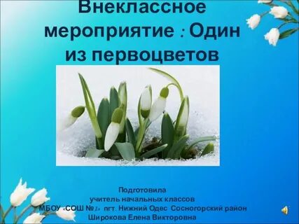 Презентация про первоцветы