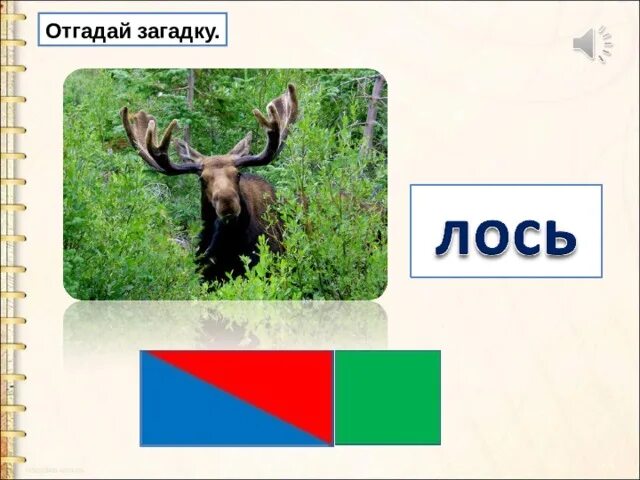 Загадка про лося. Загадка про лося для дошкольников. Загадка про лося для детей 6-7 лет. Загадка про лося для детей. Букв и звуков в слове лось