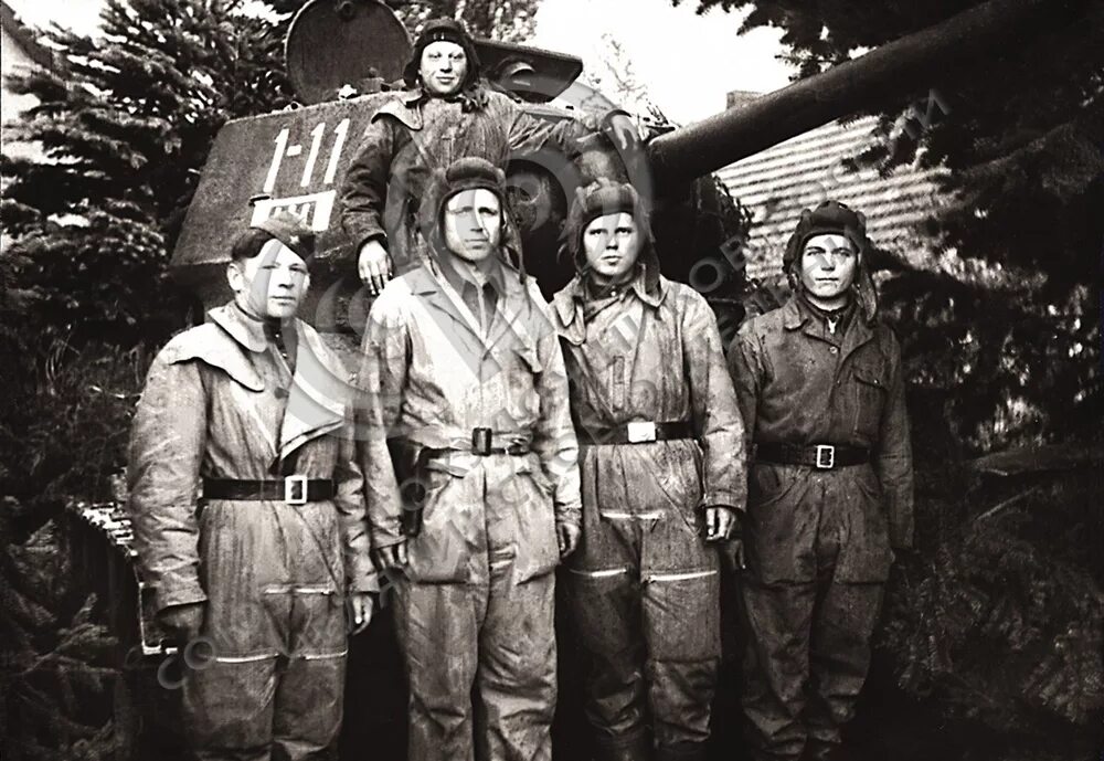 Гв тб
