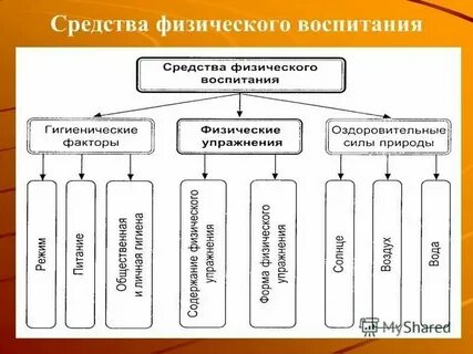 1 из основных средств физического воспитания является
