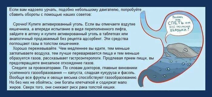 Сильные газы отходят. Урчание в животе. Сильное урчание в желудке причины. Сильное урчание в животе причины. Урчание в желудке после еды.