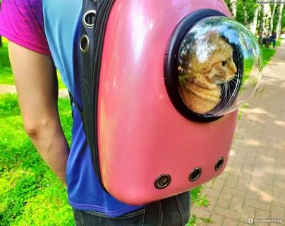 Рюкзак переноска для кошек с иллюминатором