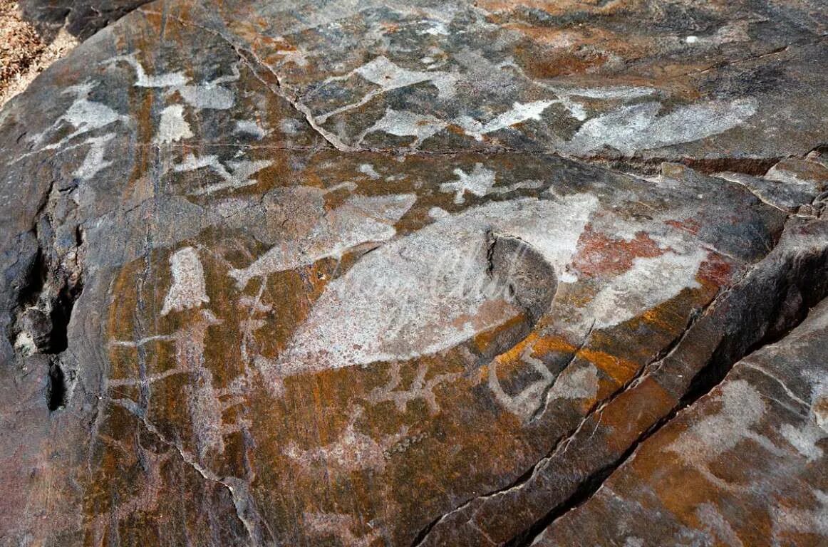 птица на беломорских петроглифах ответ. залавруга беломорские петроглифы лыжники. оглахты петроглифы. беломорские петроглифы в карелии. петроглифы белого моря.