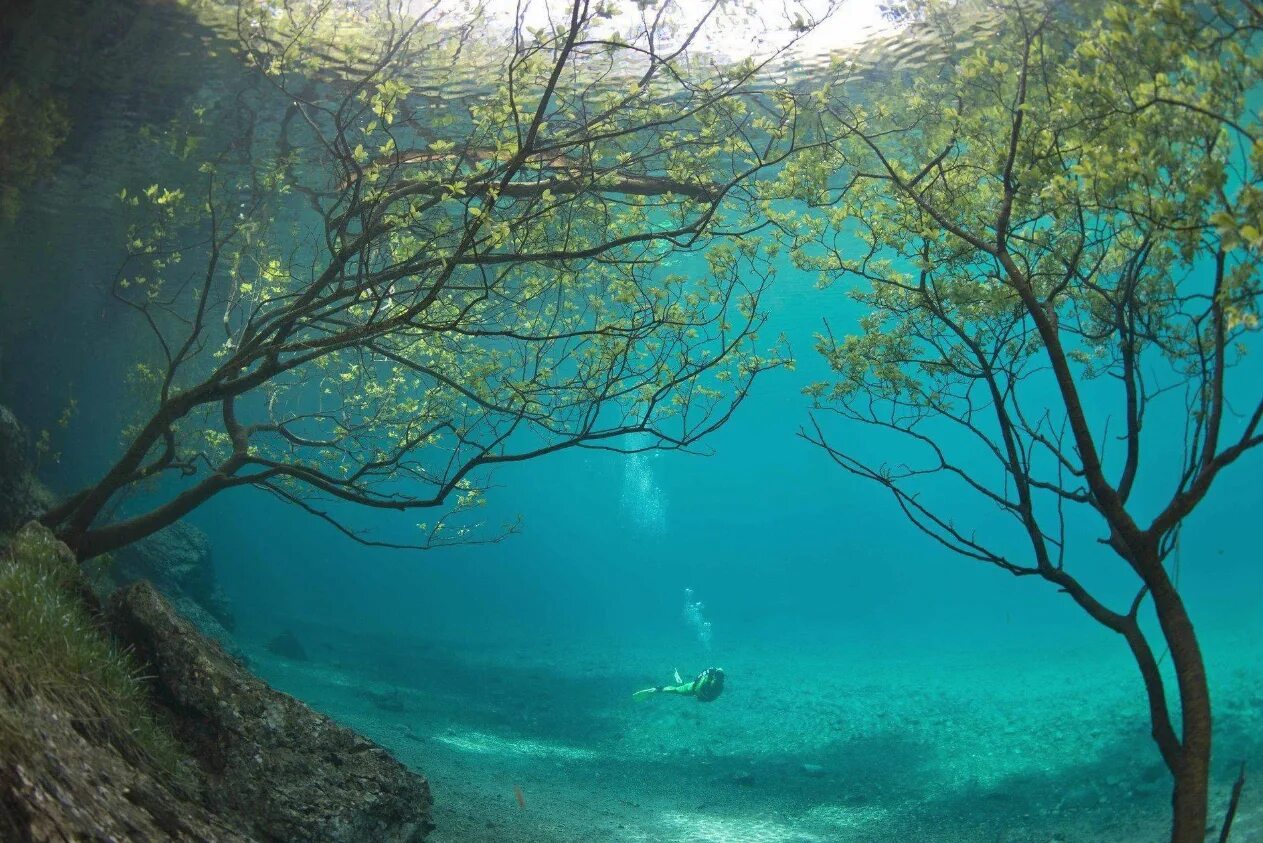 Самой чистой является вода