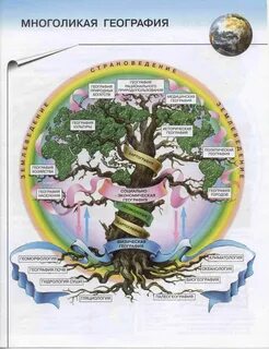 Человек и географические науки