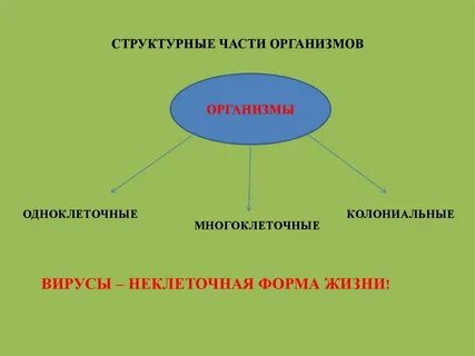 Все слова организм