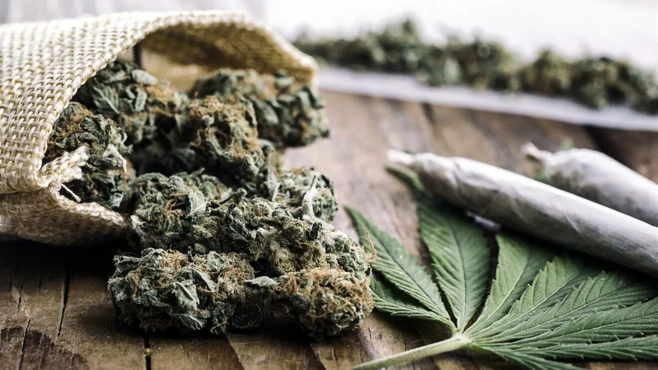 Hemp Spinoff Aims to Raise $50m and List on Nasdaq This Year - Bloomberg