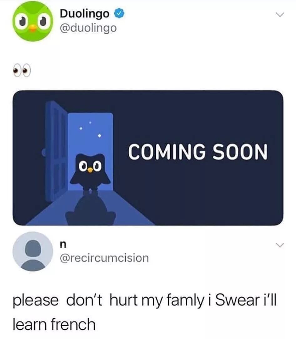 Почему дуолинго грустный. Duolingo мемы. Дуолинго прикол. Дуолинго страшный. Шутки про Дуолинго.