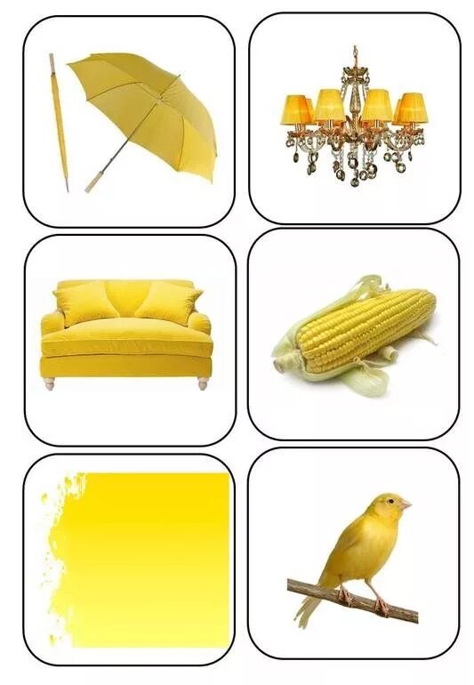5 предметов желтого цвета. Желтые предметы. Предметы желтого цвета. Желтые предметы для детей. Предметы желтого цвета для детей.
