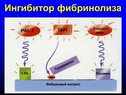 Ингибиторы фибринолиза