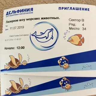 Сколько стоят билеты в новосибирском дельфинарии