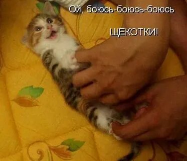 Боюсь ли