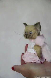 Включи полли котик