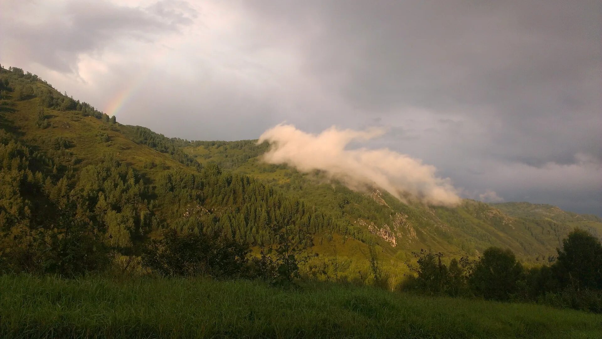 Село усть ануй алтайский край. Черный ануй алтай. Памятники республики алтай. Черный ануй алтай. Село белый ануй алтай.