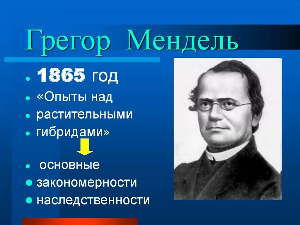 Создатель генетики. Георг Мендель. Грегор Мендель 1865. Грегор Мендель основоположник генетики. Мендель биолог.