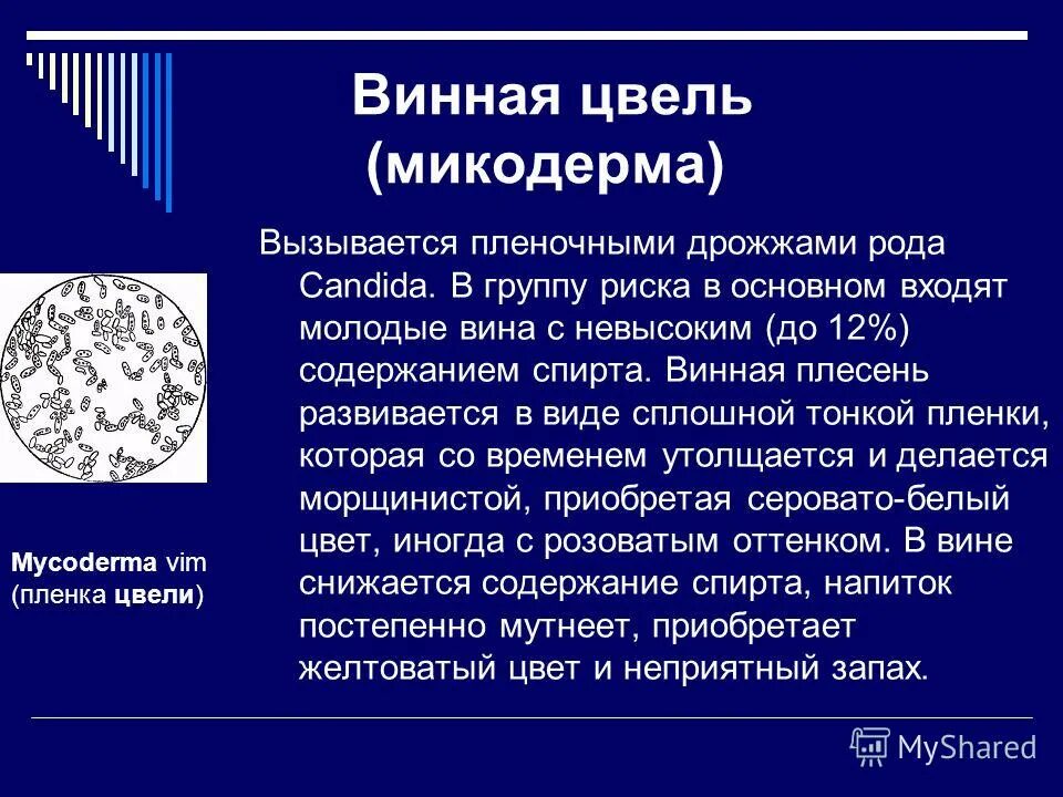 Болезнь виноваты