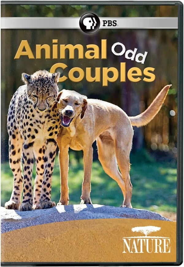 Animal coupling. Odd animal. PBS nature DVD. Fond the odd animal.