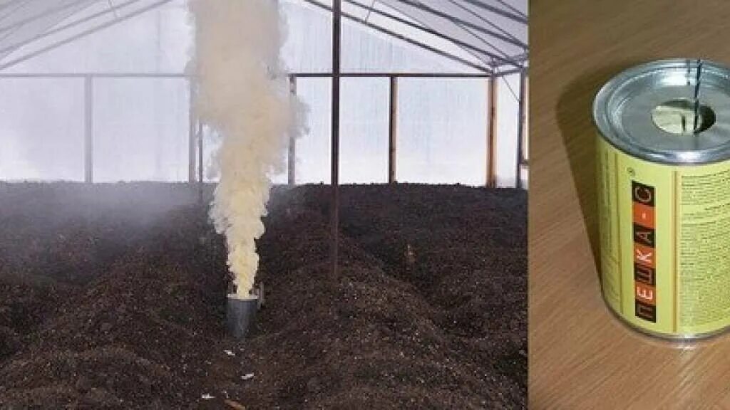 Мыть теплицу после серной шашки. Окуривание теплицы серной шашкой. серная шашка в теплице из поликарбоната. шашка для теплицы от фитофторы. окуривание теплицы табачной шашкой.