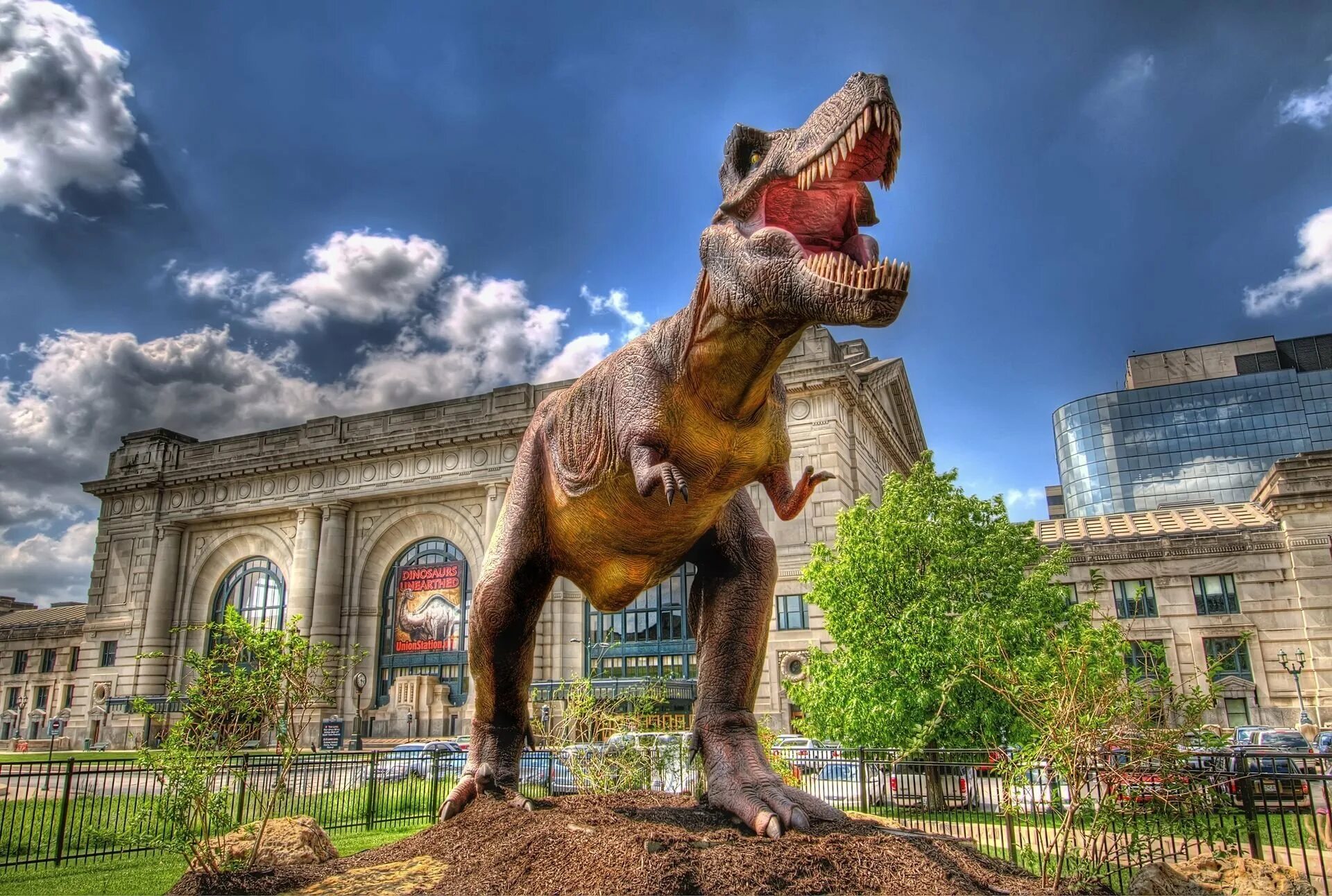 Самый крутой динозавр. Тираннозавр рекс. тирекс jurassic park. тираннозавр рекс фото. красивые динозавры.