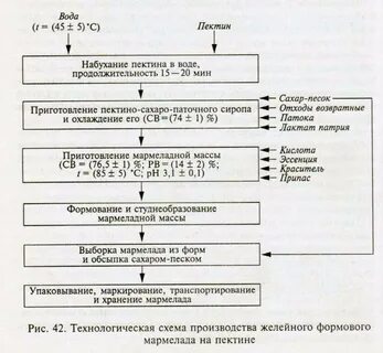 Технология приготовления пастилы