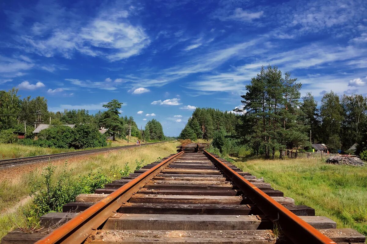 Железная дорога. Земли железнодорожного транспорта. Железная дорога Ленинградской области. Железная дорога на участке.