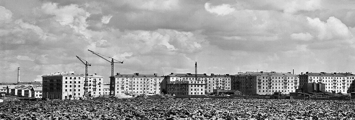 Деревня Черемушки Москва. Черемушки микрорайон 1960. Черёмушки (район Москвы). Район Черемушки 60-е.