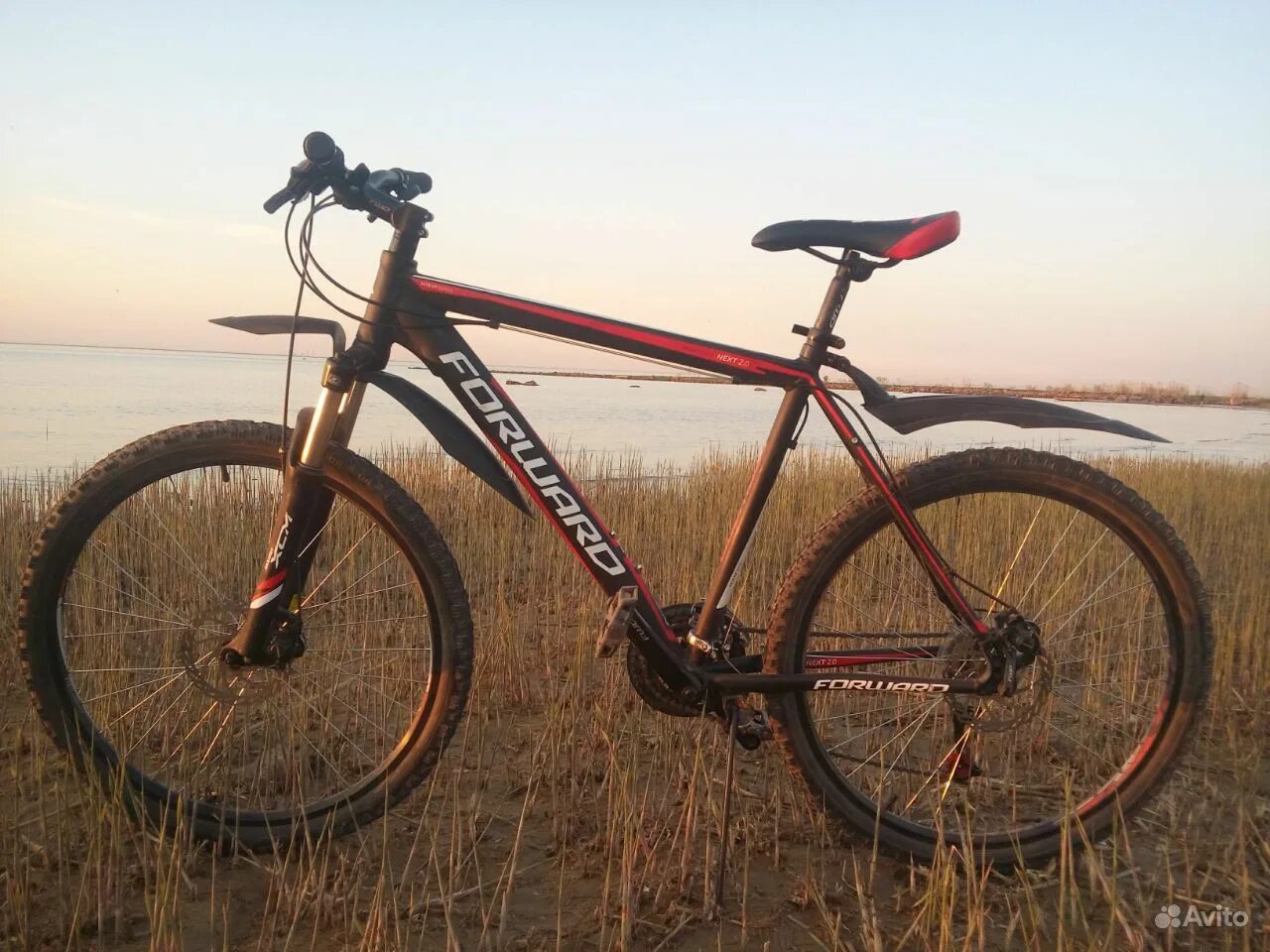 Велосипед форвард 1. Форвард некст. 0 disc 2017. Форвард некст 30. Forward next 2.