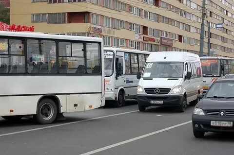 Петербург 50 автобус