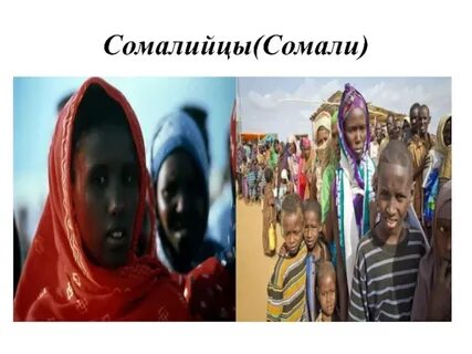 Состав сомали