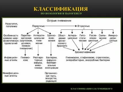 Список легких
