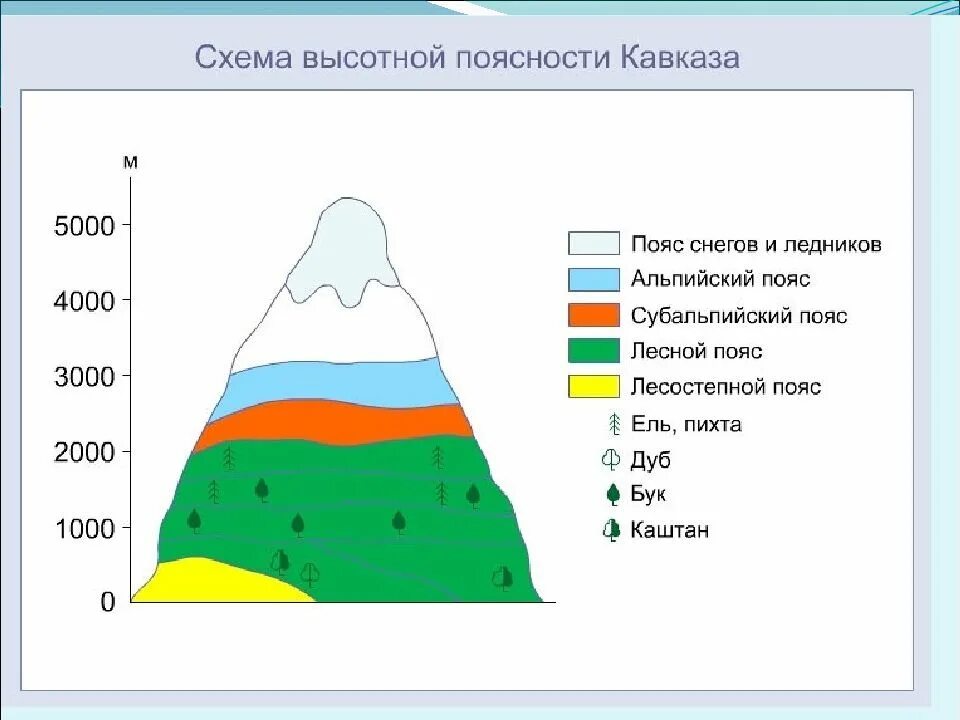 Выявить различия структуры высотной поясности горных систем. Высокая пояность кавказских гор. Схема ВЫСОТНОЙ поясности гор Кавказа. Схема ВЫСОТНОЙ поясности Кавказа. Схема ВЫСОТНОЙ поясности горы Эльбрус.