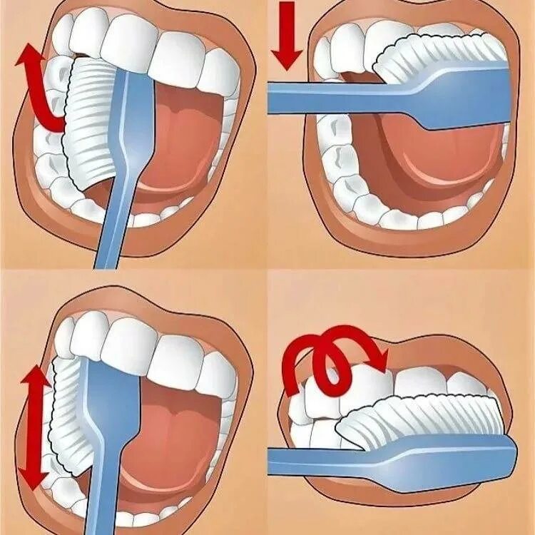 Схема правильной чистки зубов. Как правильно чистить зубы. Как правильно читать зубы. Какпровельно чистить зубы. Гигиена десен